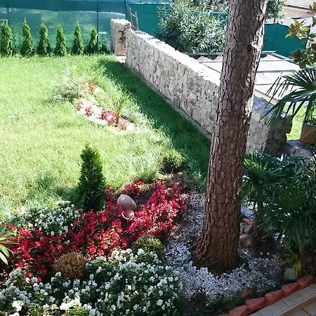 Apartment Roses & Wellness